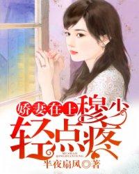 上门龙婿叶辰完整版