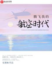 腾飞我的航空时代 sodu