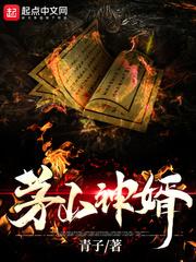 茅山神婿在线阅读