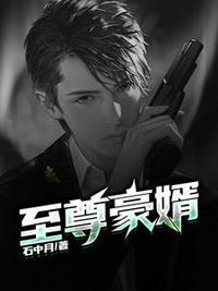 至尊神婿叶昊郑漫儿全文免费阅读第501章