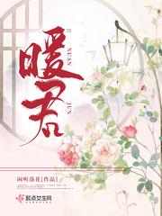 暖君全文txt百度