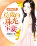 总裁的珠光宝妻中女主容胭的车牌号