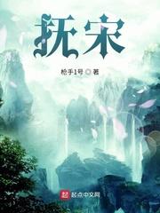 抚宋枪手1号全本TXT百度