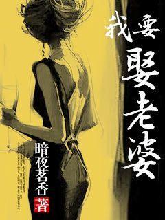 我要娶老婆的歌曲