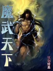 魔武天下叶辰