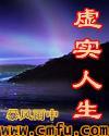 虚实人生1.6作弊码