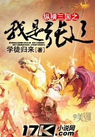 纵横三国之我是张辽TXT最新章节列表