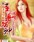 赌神至尊无上