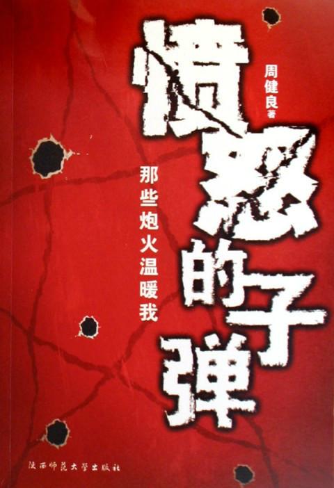 愤怒的枪声在线阅读