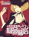 极品赌石免费阅读