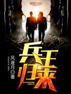 兵王归来之孤狼行动
