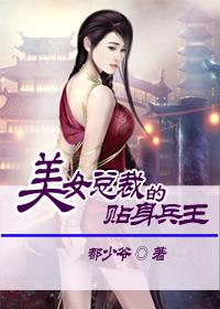 美女总裁的贴身兵王秦风免费阅读