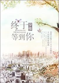 终于等到你 岁惟讲的什么