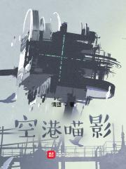 空港喵影大结局