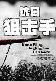 抗战狙击手全书