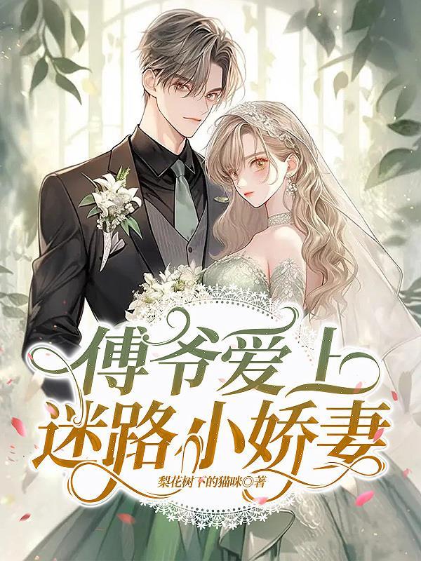 傅爷爱玩