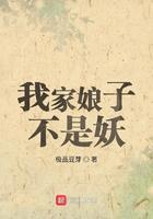 我家娘子不是妖百度百科