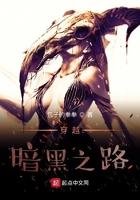 穿越暗黑之路精校TXT