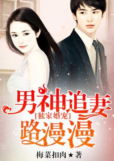 男神的独家