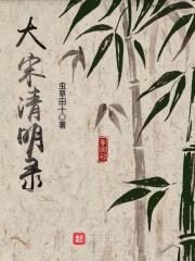 大宋清明录笔趣阁