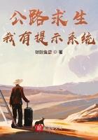 公路求生我有提醒系统