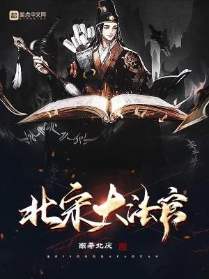 北宋大法官 南希北庆