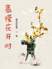 木槿花开了 hwa