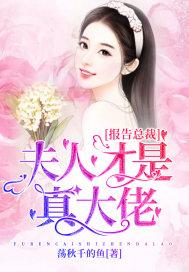 报告总裁夫人是上校免费阅读
