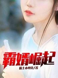 霸婿崛起短剧热播