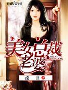 镇国傻婿