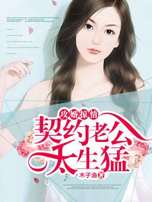 攻婚掠情