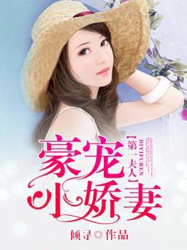 第一夫人盛宠全集