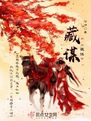藏谋讲的是什么内容