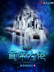 首席大人在线阅读