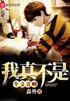 我真不是大文豪
