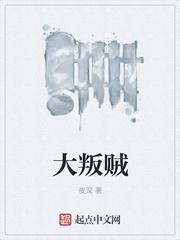 大叛贼阅读