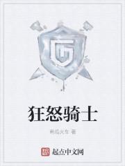 狂怒骑士车组