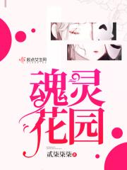 灵魂火花原版