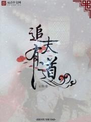 追夫日常by