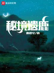 秘境攻略