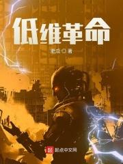 低维革命笔趣阁