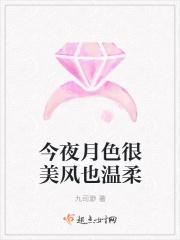 今晚月色真美 风也温柔歌词