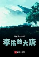 李佑大唐镇国将军TXT