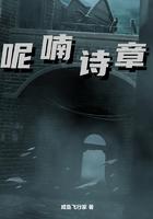 呢喃诗章加料版本