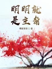 明明就是喜欢我免费阅读