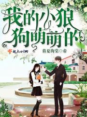 我的小狼狗po