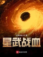 星武战甲完结