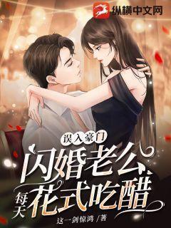 闪婚蜜爱误嫁天价老公