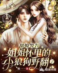 姐姐你的小狼狗