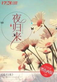 夜归来电视剧
